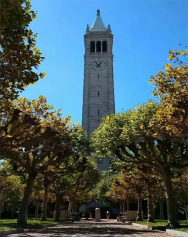 40布兰迪斯大学